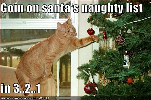 funny-pictures-cat-goes-on-the-naughty-list